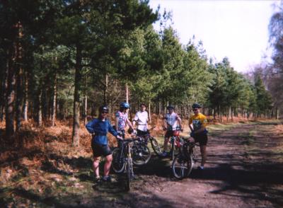 Sherwood Forest
